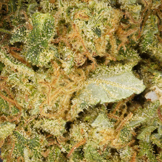 Danish Deep Candy CBD Topskud CBD: 8.51%